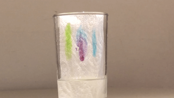 Marker Pen Chromatography